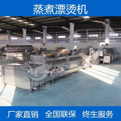 專業生產大型米粉米線蒸煮漂燙機 全自動粉絲粉條蒸煮漂燙流水線