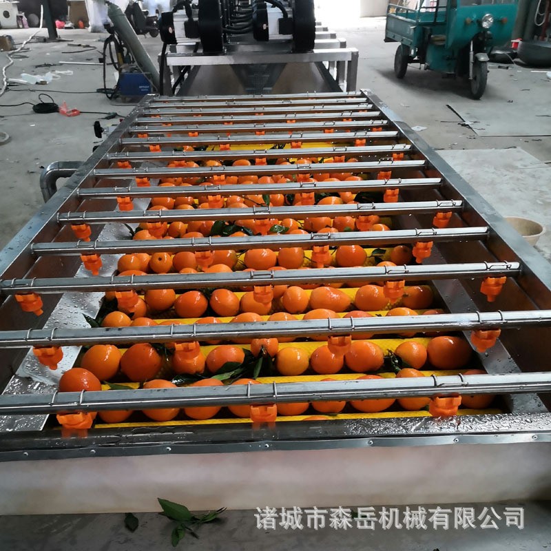 廠家全自動水果清洗打蠟機拋光機 橘子沃柑洗果機