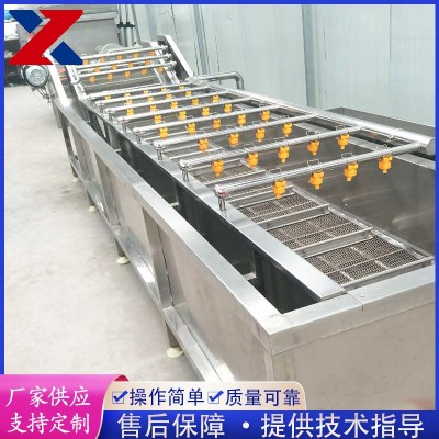 全自動果蔬清洗機 藍莓粽葉清洗設備 不銹鋼氣泡清洗機 洗菜機