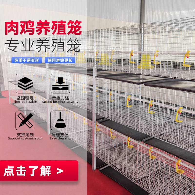 三層兩門立體式肉雞籠鋼絲網養殖設備雞籠子配件H型層疊式肉雞籠