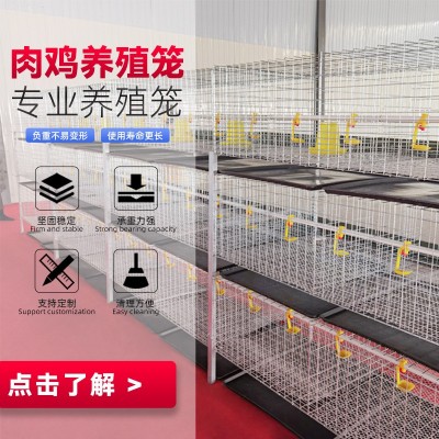 三層兩門立體式肉雞籠鋼絲網養(yǎng)殖設備雞籠子配件H型層疊式肉雞籠