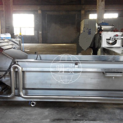 秋葵蘿卜片漂洗冷卻線 自動果蔬鼓泡式清洗機 帶毛輥可除毛發