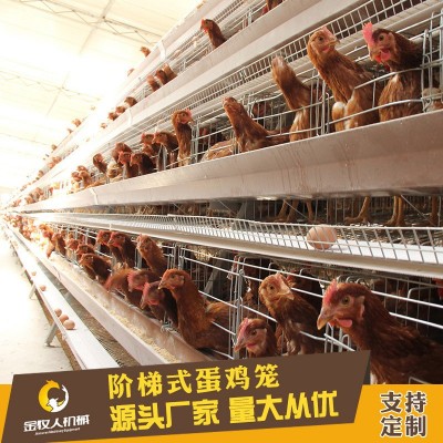 常年供應養殖熱鍍鋅階梯層蛋雞籠設備批發 廠家批發階梯式蛋雞籠