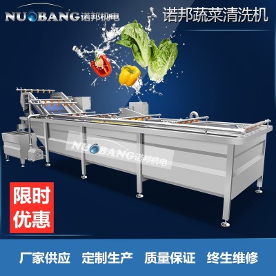 廠家銷售檸檬片清洗機 全自動氣泡噴淋果蔬清洗機 藍莓果洗果機