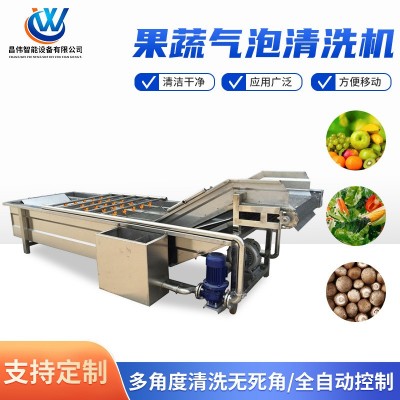 全自動水果清洗機 檸檬氣泡清洗風干機 草莓渦流氣泡清洗機制造商