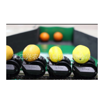 智能分選--沃柑分選機