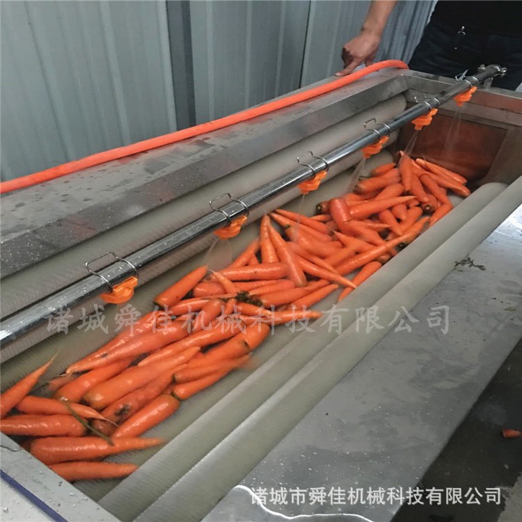 牛蒡葛根毛刷清洗機 胡蘿卜去雜毛輥清洗機 地黃去皮清洗設備