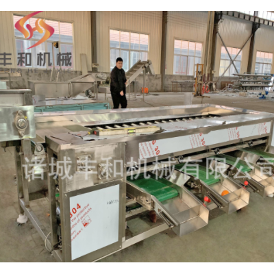 供應食品大小分選設備 小龍蝦分級機 紅薯分級機 蘿卜土豆分級機