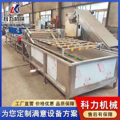 毛豆氣泡果蔬清洗機(jī) 多功能酸菜脫鹽清洗機(jī) 辣椒噴淋清洗機(jī)器