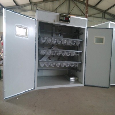 全自動(dòng)鴕鳥孵化機(jī)孵化器72枚鴕鳥智能孵化箱孵蛋器