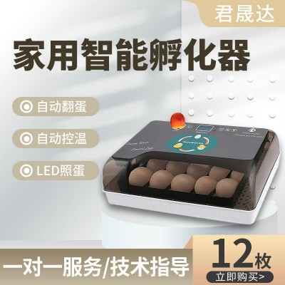 12枚小型家用孵化器小雞苗孵化箱 雞蛋孵化機家禽孵化養殖設備