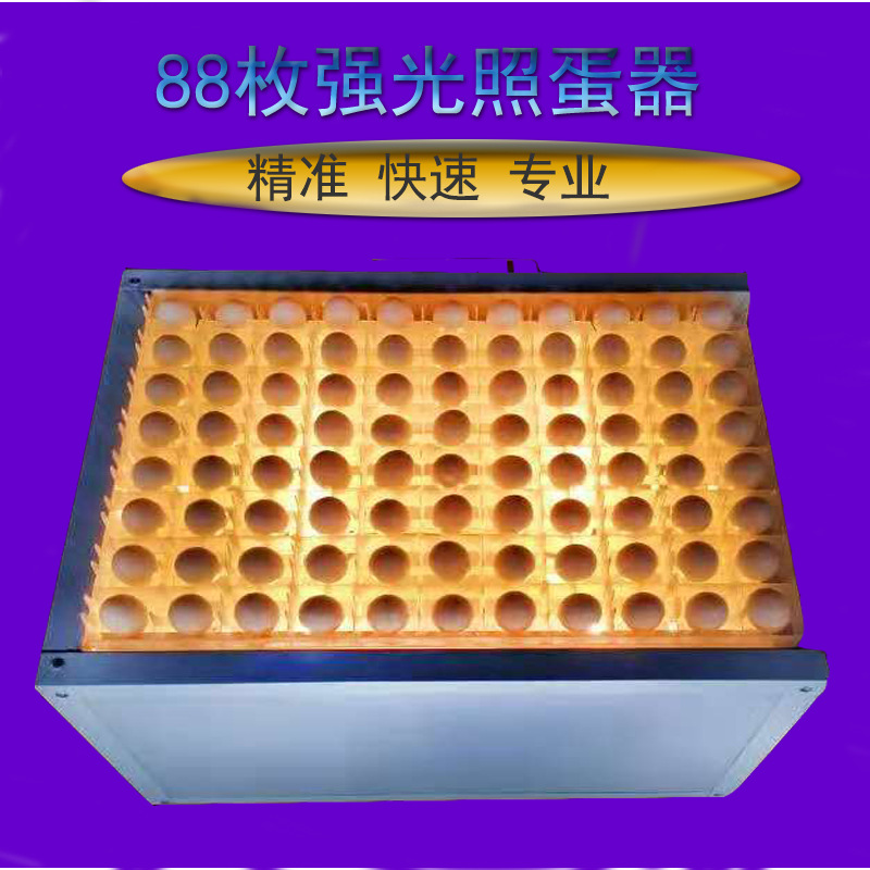 88枚照蛋器5