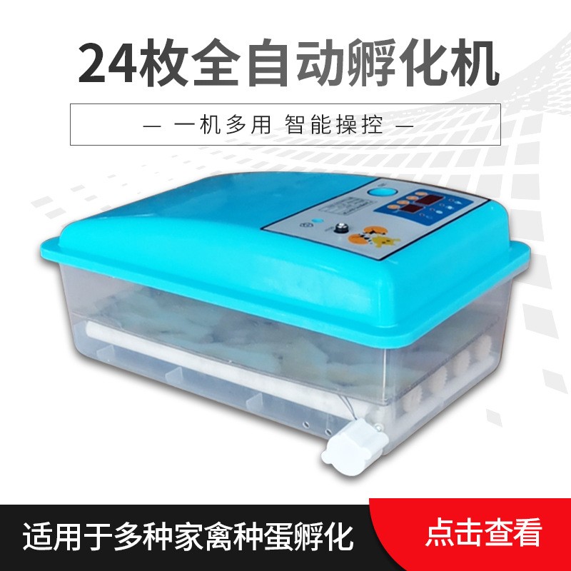 廠家代發(fā)24枚自動迷你孵化機智能家用小型孵化設(shè)備egg incubator