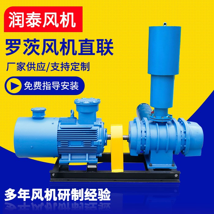 廠家供應(yīng) 羅茨鼓風(fēng)機(jī) 直聯(lián)三葉羅茨鼓風(fēng)機(jī)三葉羅茨風(fēng)機(jī) 支持定制