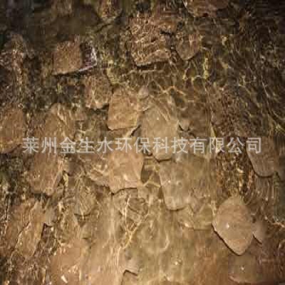 多寶魚工廠化循環水無公害養殖 多寶魚養殖