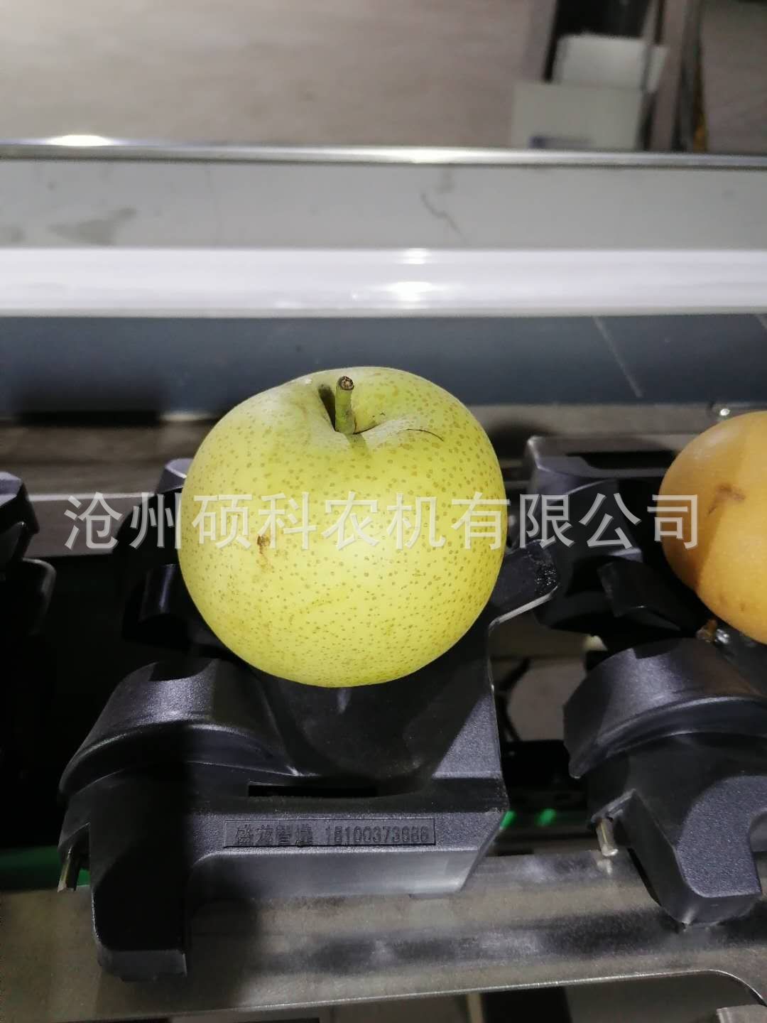 電子稱重克重檸檬分級機 分選機小型篩選機水果分選機