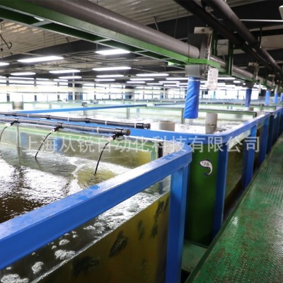 從銳新設(shè)計小型室內(nèi)垂釣蝦循環(huán)水恒溫增氧水處理在線管理系統(tǒng)設(shè)備