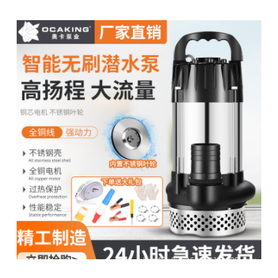 無(wú)刷直流潛水泵高揚(yáng)程48V60V72V伏通用電動(dòng)車電瓶車抽水泵抽水機(jī)