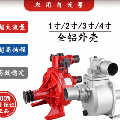 浩沺廠家直銷2寸高壓自吸滴灌泵高揚程抽水機農田灌溉抽海水拖泵