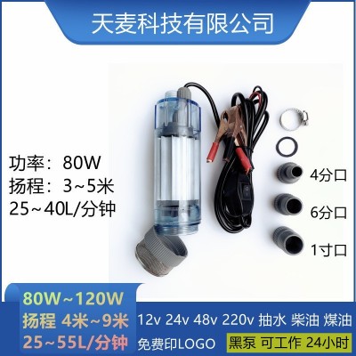 天麥12伏直流潛水泵1寸農(nóng)用抽水機(jī)車(chē)載24伏電動(dòng)抽水泵12v小型水泵