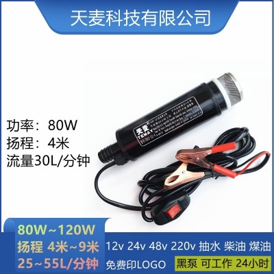 Temay潛水24v摩托車(chē)抽水泵加油器微型電動(dòng)抽水抽油泵12v直流水泵