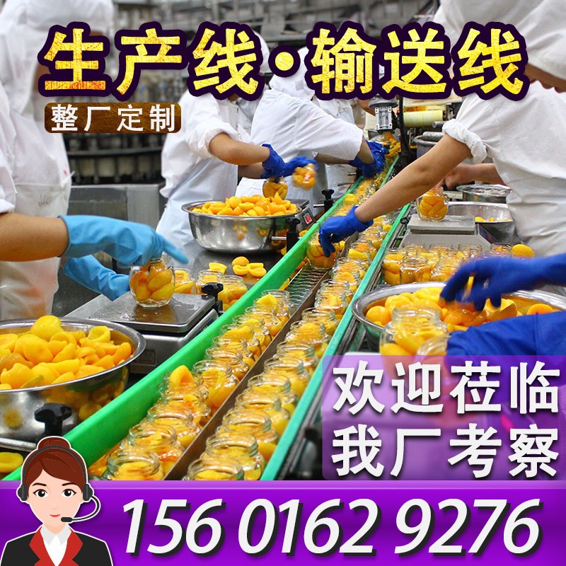 柔性鏈板輸送機丹東水果罐頭生產(chǎn)線傳送帶設(shè)備爆款黃桃分揀輸送線