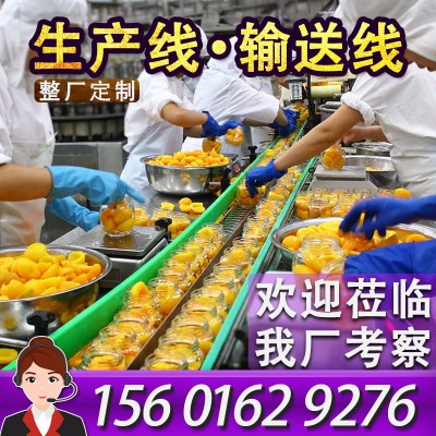 柔性鏈板輸送機丹東水果罐頭生產線傳送帶設備爆款黃桃分揀輸送線