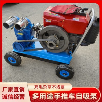 電動(dòng)吸糞泵批發(fā) 齒輪抽糞泵 養(yǎng)殖場(chǎng)大功率抽糞吸糞泵 手推吸糞泵