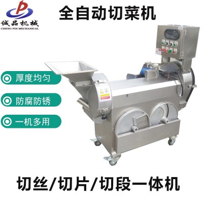 全自動(dòng) 雙頭果蔬切菜機(jī) 商用土豆切絲機(jī) 球根莖葉菜類(lèi)蔬菜切片機(jī)