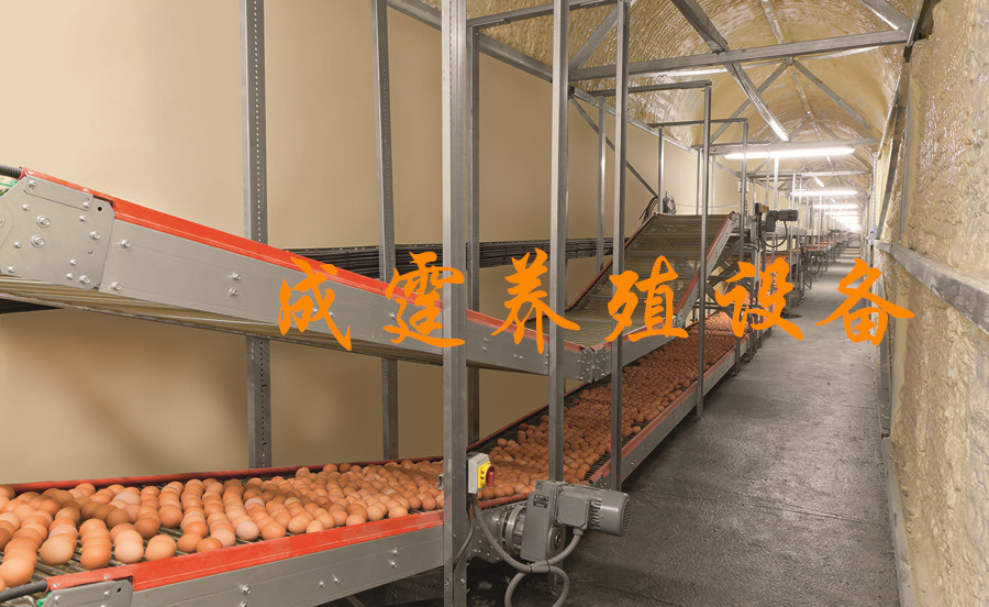 微信圖片_2022021114413712