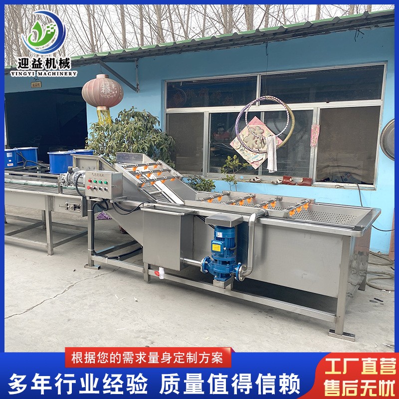 山野菜去農殘氣泡清洗機 多功能果蔬清洗機 商用不銹鋼噴淋清洗機