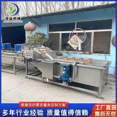 山野菜去農(nóng)殘氣泡清洗機 多功能果蔬清洗機 商用不銹鋼噴淋清洗機
