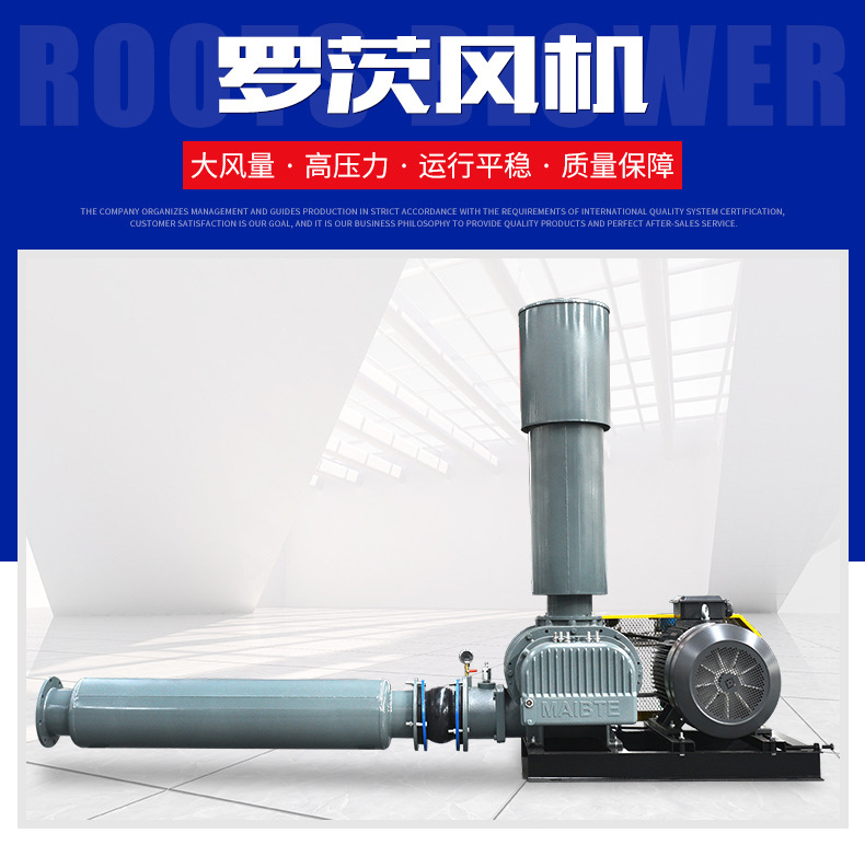 羅茨風(fēng)機(jī)_02