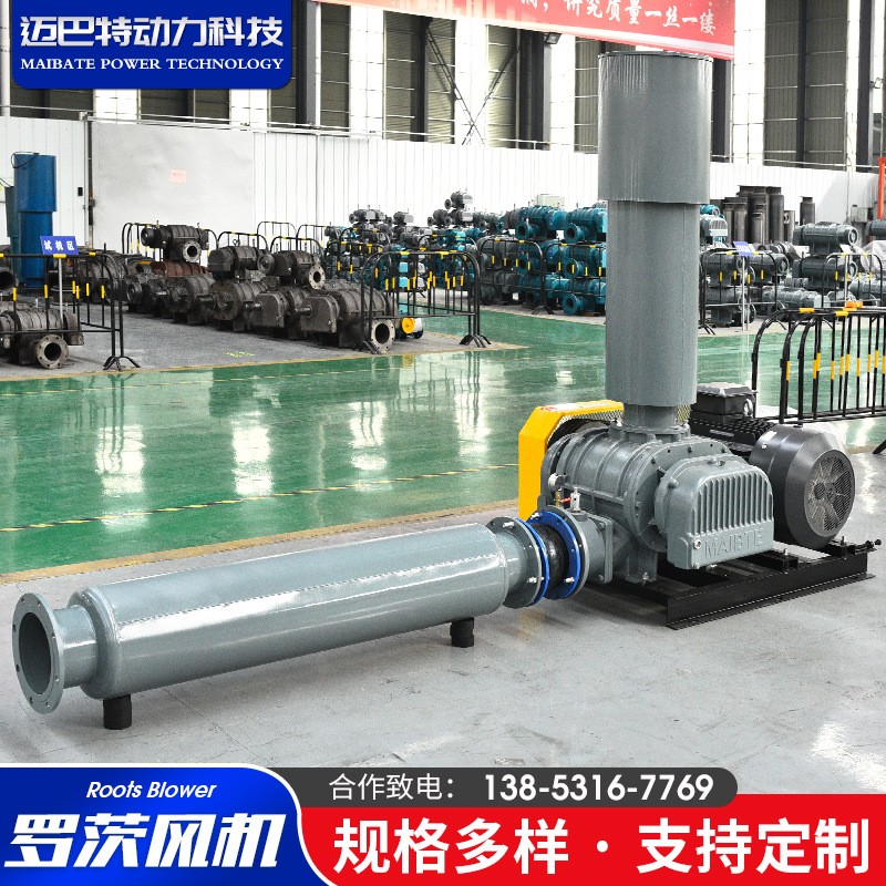 WHSR羅茨風機 廠家供應大流量高效魚塘增氧用污水曝氣羅茨風機