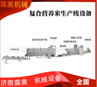 霖奧 RN70速食自熱米飯加工機(jī)器 人造復(fù)合營養(yǎng)大米生產(chǎn)線