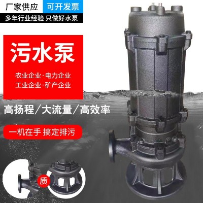 無(wú)堵塞潛水泵 污水泵大流量農(nóng)田灌溉市政排污水電廠污水污物處理