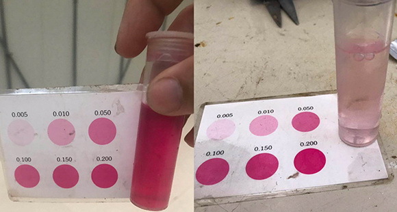 16藍(lán)靈的純氧溶氧器為何“難產(chǎn)”？1