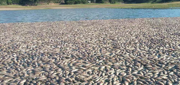 16藍(lán)靈的純氧溶氧器為何“難產(chǎn)”？3