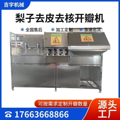 硬皮水果去皮機全自動蘋果去核去皮分瓣機商用去核削皮機