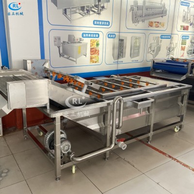 廠家供應魚皮清洗機 鼓泡式帶魚黃花魚去血水設備 全自動洗魚機