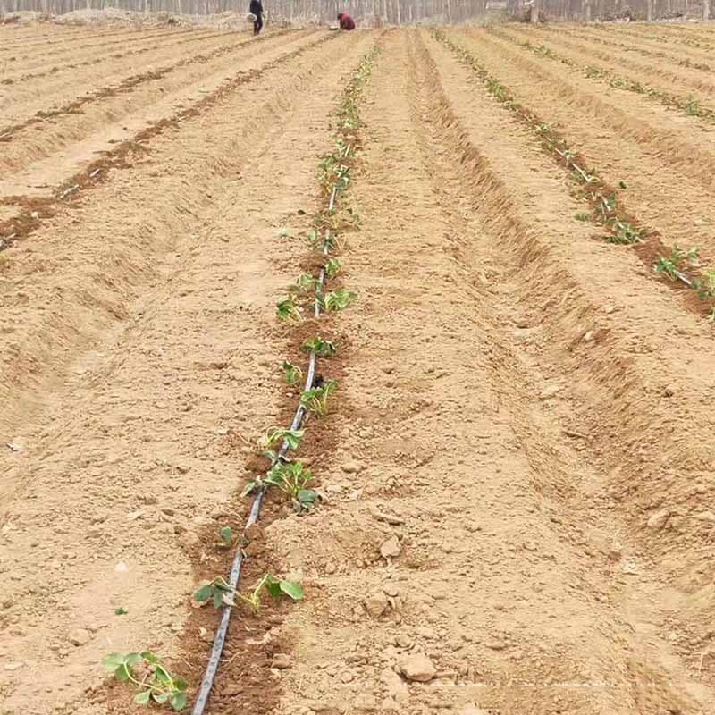 滴灌帶滴管農用滴灌管大棚蔬菜16節貼片式水帶管水管辣椒滴水管