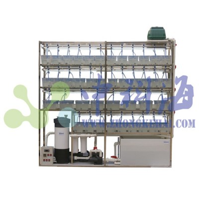 斑馬魚飼養系統，水生物實驗系統