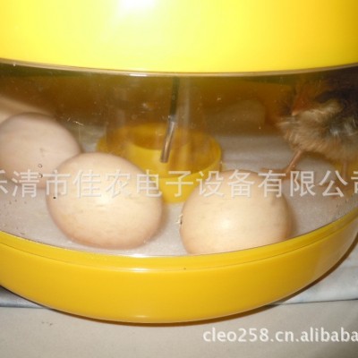 佳農(nóng)牌高級科教孵化器