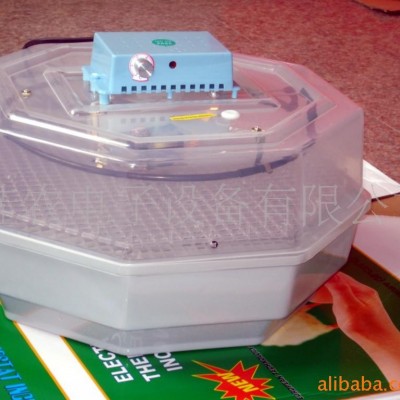 供應(yīng)微型孵化箱，孵化機(jī)，孵化器