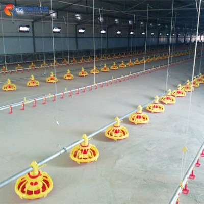 全自動(dòng) QZH 高端平養(yǎng) 商品肉雞料線 雞用 養(yǎng)雞畜牧設(shè)備