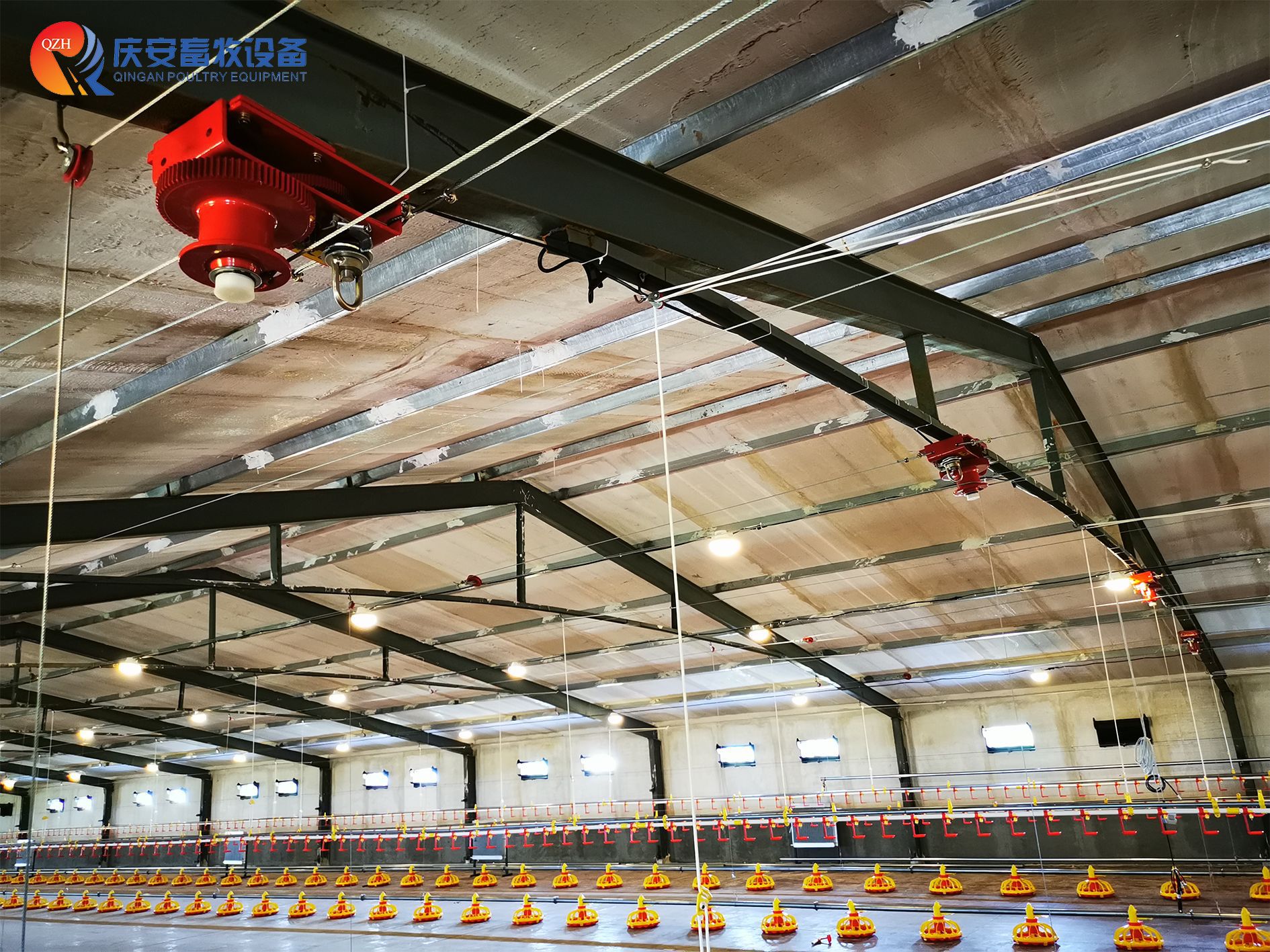 （第一行第一張）