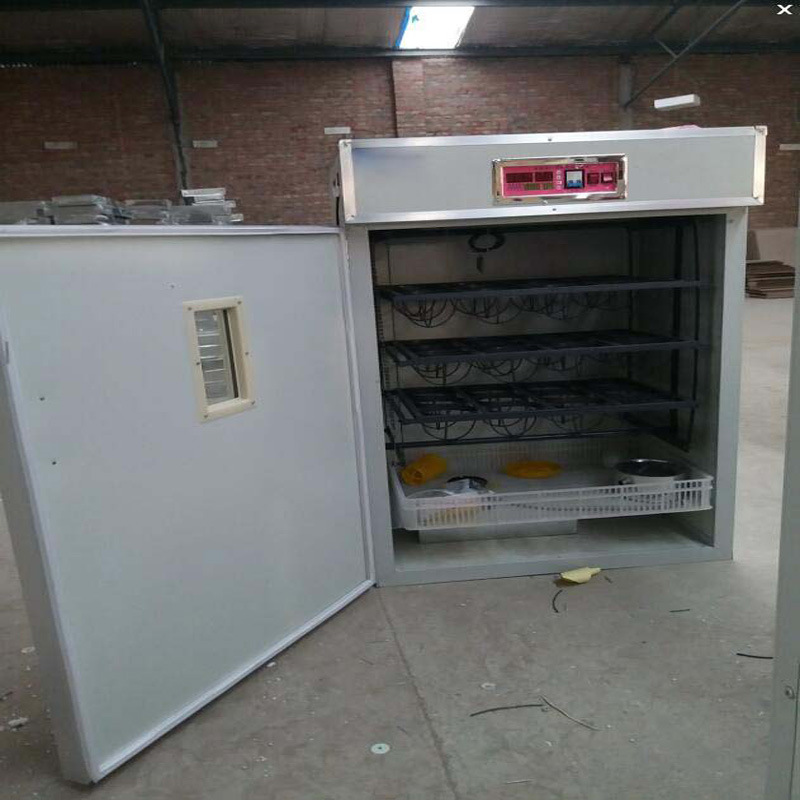 O1CN01cE6TFy1gQKd24IiV5_!!2433