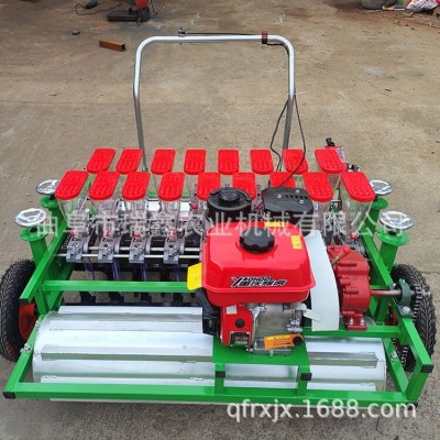 汽油雙排蔬菜精密播種機 菠菜生菜播種機 小型手推式蘿卜點播機
