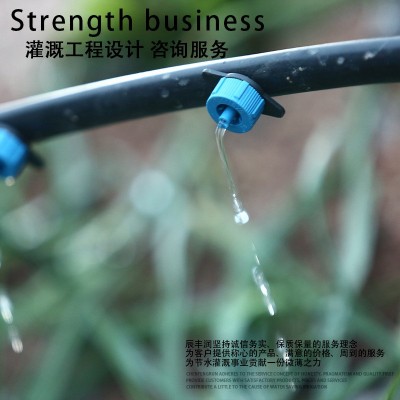 壓力補償滴頭2 4 8 16 L升園藝滴水花園盆栽果樹陽臺滴灌水穩流器