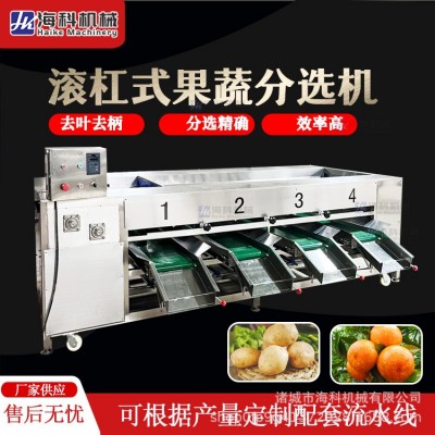水果選果機分選機沃柑圣女果番茄土豆檸檬篩選機獼猴桃果蔬分級機